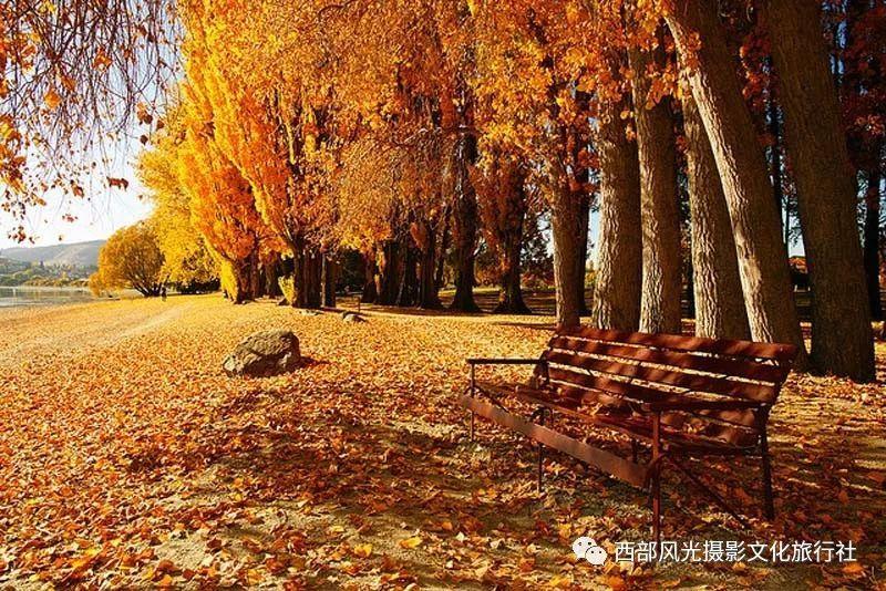 小怪运动会