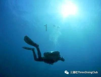 救援七星瓢虫