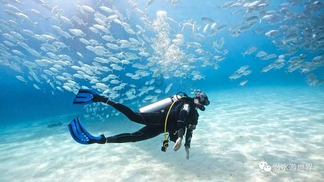 海南温蒂科技:飞语商城2024年会在古都西安隆重举行